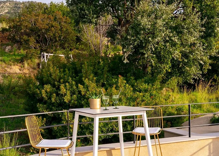 Grand Large Saint-clair Piscine Chauffee Garage Propriete Fermee Villa Le Lavandou