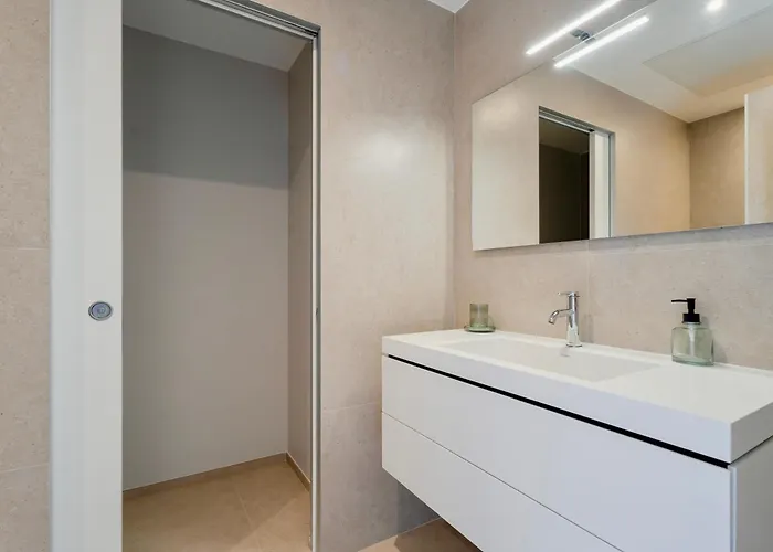 Grand Large Saint-clair Piscine Chauffee Garage Propriete Fermee